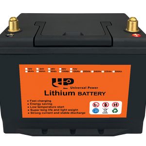 LIFEPO4 Battery (1)